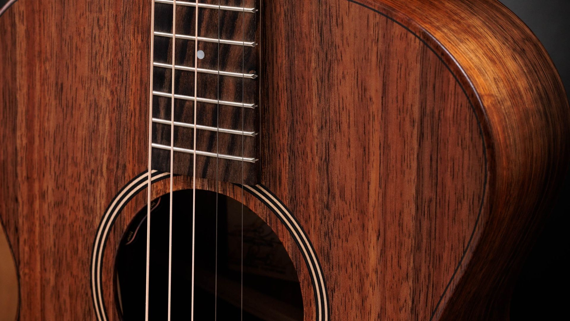 Jacob Collier - Jacob Collier Signature Model 5-String