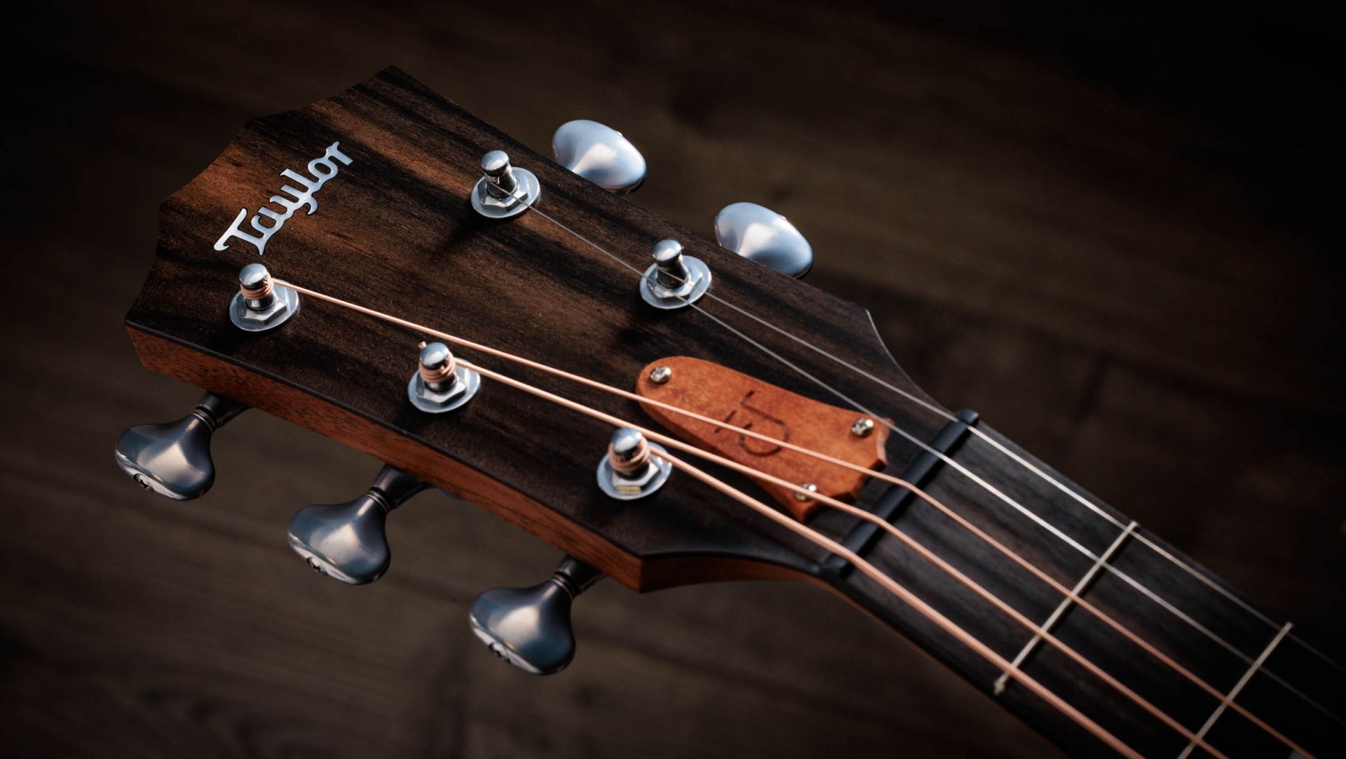 Jacob Collier - Jacob Collier Signature Model 5-String